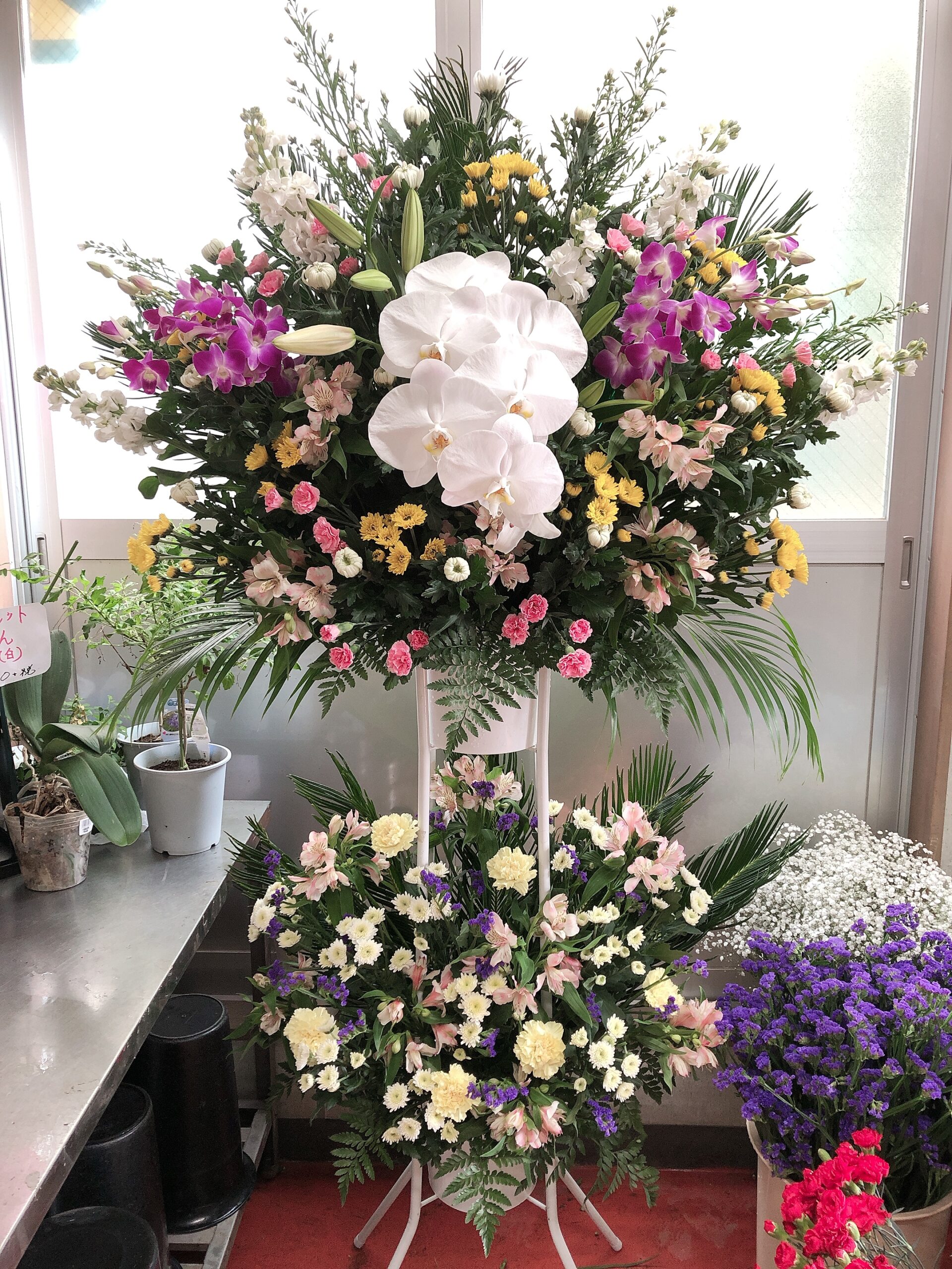 ��ĳ�����濴�˿��֤�ź�������ʤΤ������������